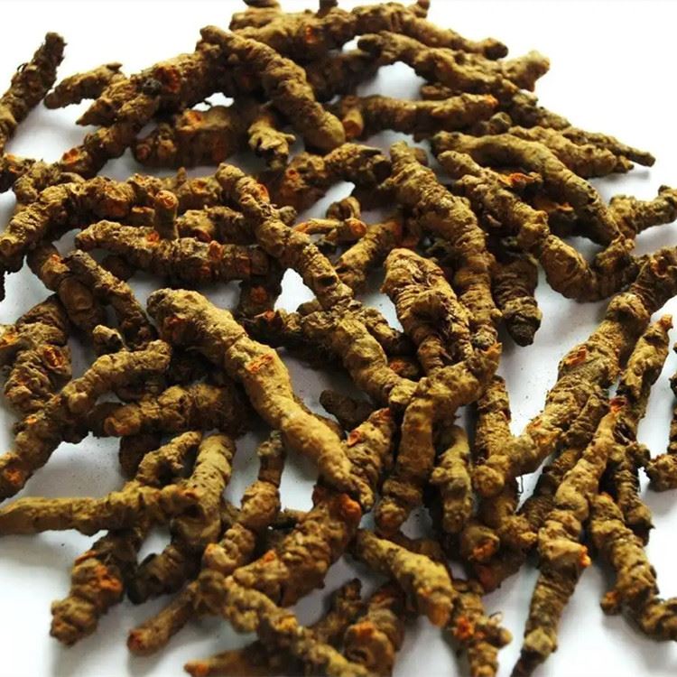 Το Berberine Βελτιώνει τα συμπτώματα που μοιάζουν με το άγχος Ρυθμίζοντας τη ...