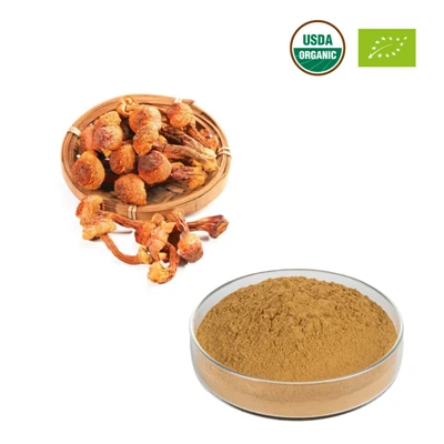 Βιολογικό εκχύλισμα Agaricus Blazei